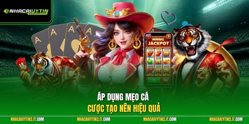 Áp dụng mẹo cá cược tạo nên hiệu quả