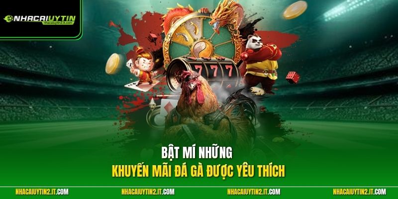 Bật mí những khuyến mãi đá gà được yêu thích