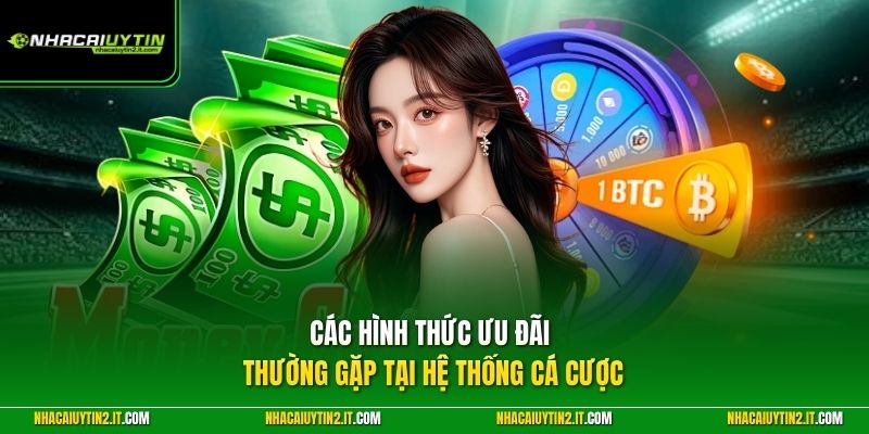 Các hình thức ưu đãi thường gặp tại hệ thống cá cược