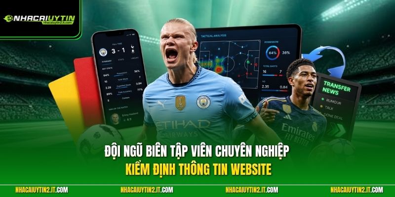 Đội ngũ biên tập viên chuyên nghiệp kiểm định thông tin website