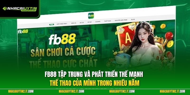 FB88 tập trung và phát triển thế mạnh thể thao của mình trong nhiều năm