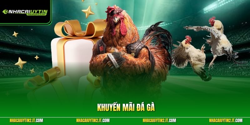 Khuyến Mãi Đá Gà Hấp Dẫn Với Nhiều Phần Thưởng Giá Trị Cao