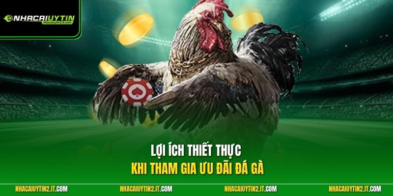 Lợi ích thiết thực khi tham gia ưu đãi đá gà