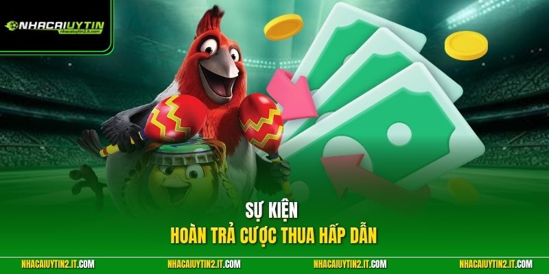 Sự kiện hoàn trả cược thua hấp dẫn